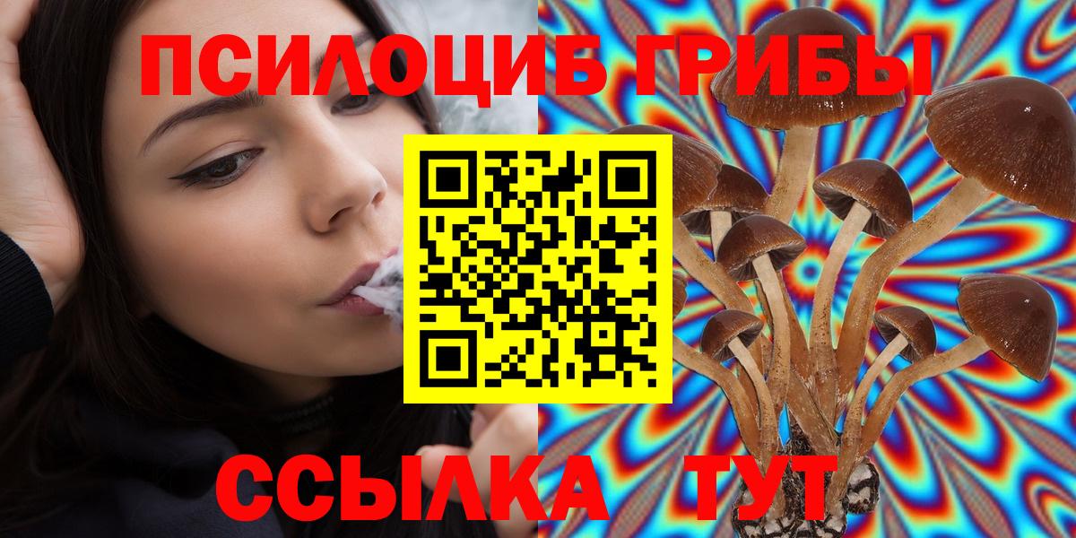 Псилоцибиновые грибы MAGIC MUSHROOMS  Вход с VPN  Псилоцибиновые грибы Psilocybe  Будённовск 